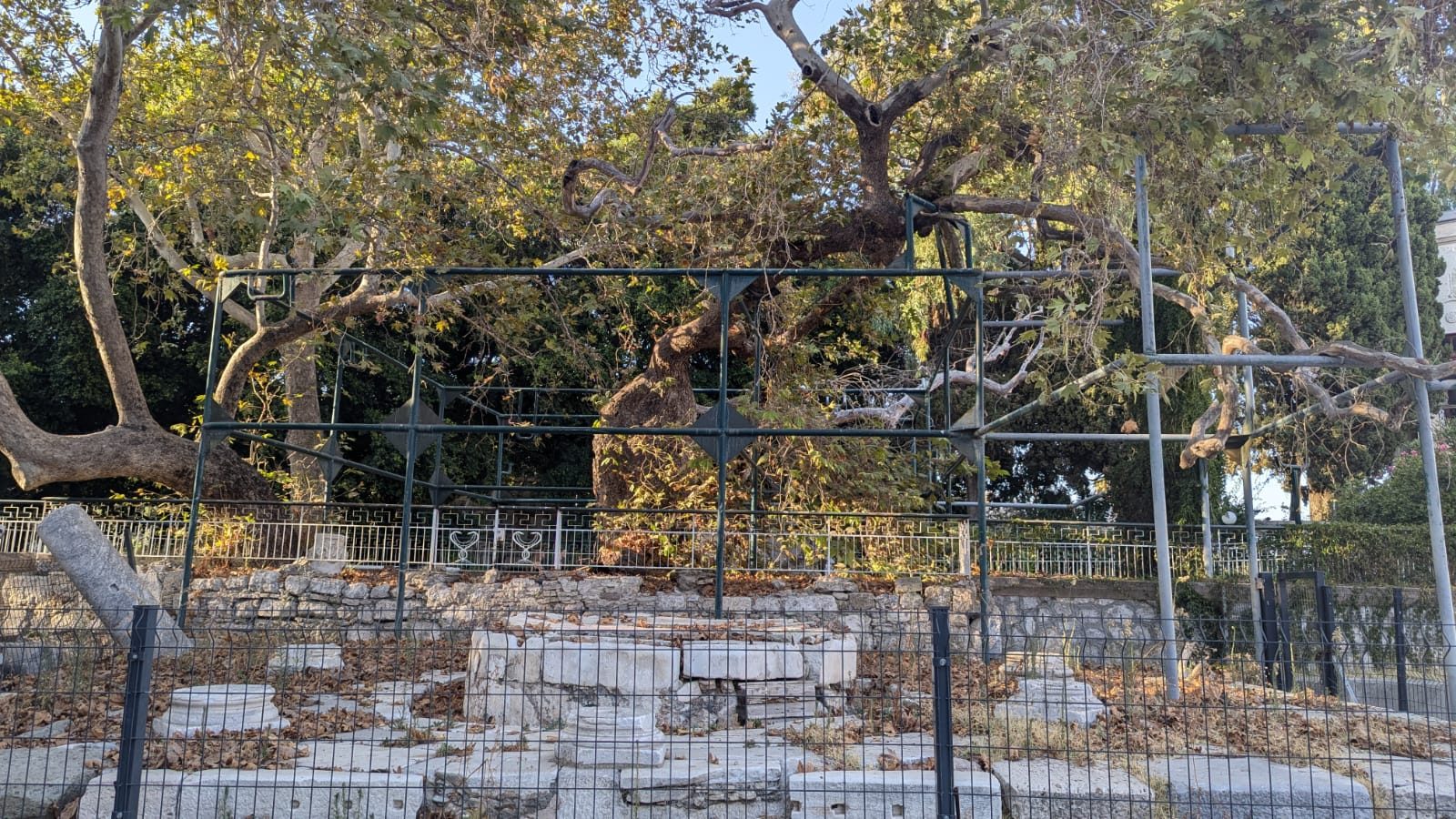The Hippocrates plane tree and fountain, Kos by Serena Giacalone - 01.jpeg